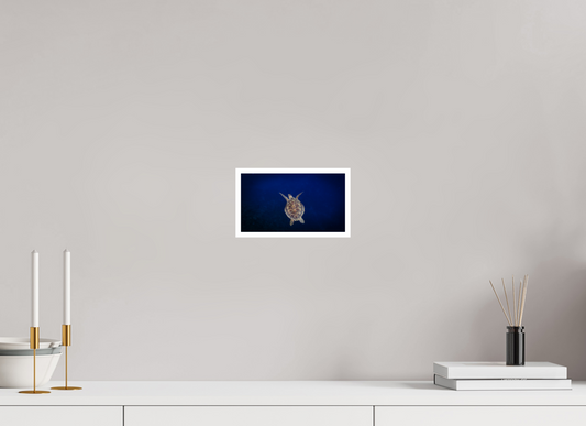 8 x 4.5″, Fine Art Pearl Silent Voyager