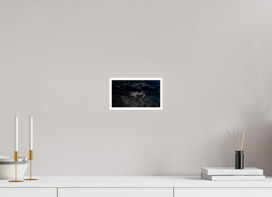 8 x 4.5″, Fine Art Pearl The Spiny Sentinel