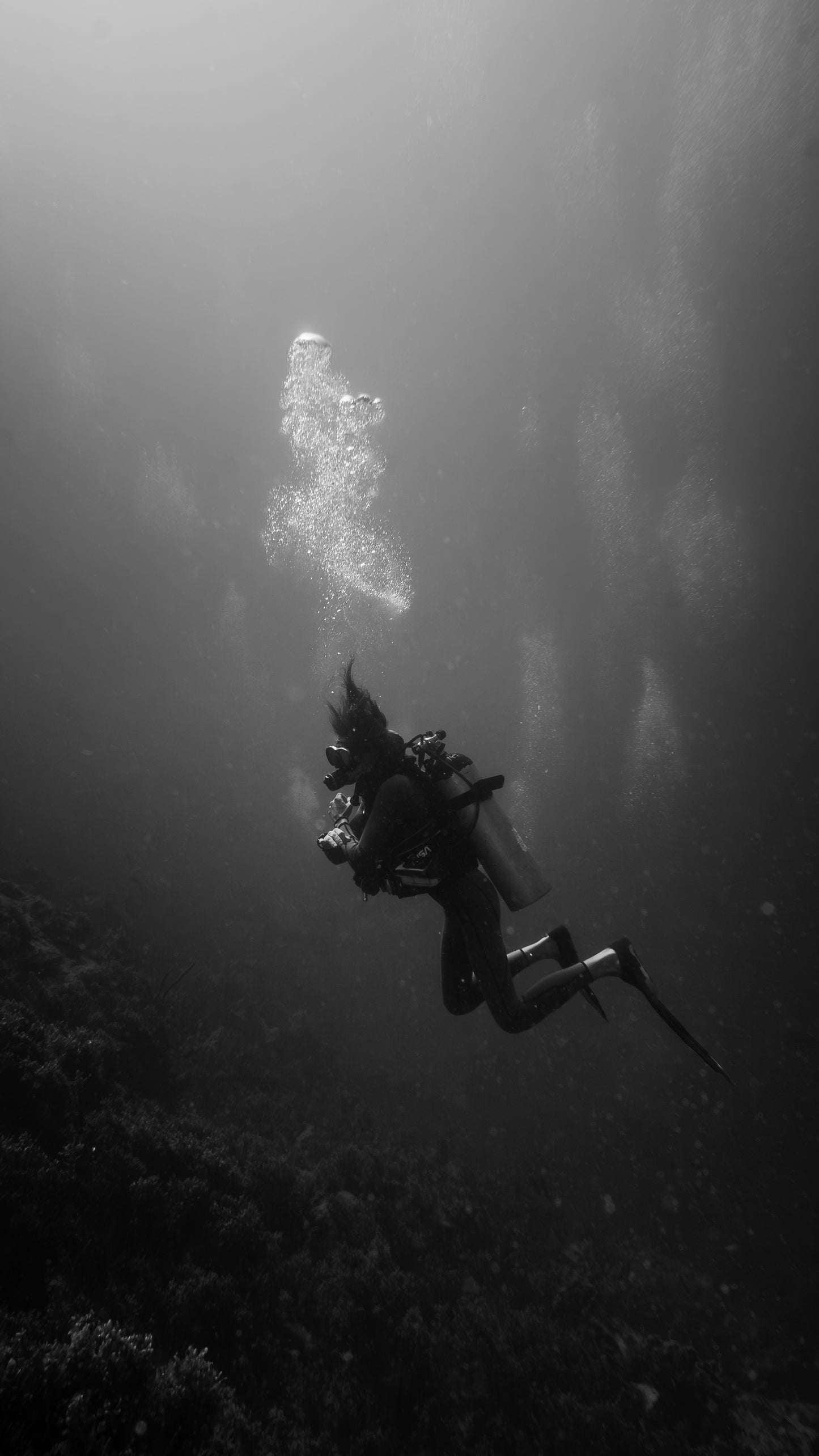 Into the Silence